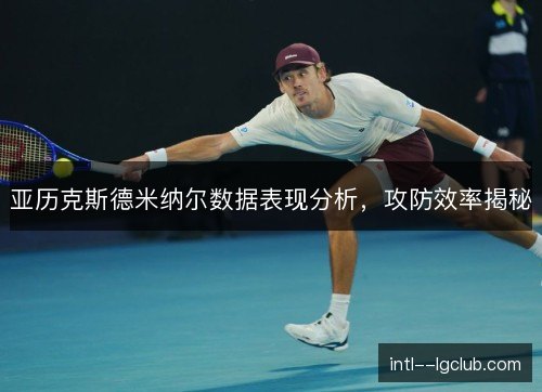 亚历克斯德米纳尔数据表现分析，攻防效率揭秘